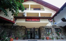 Hotel Teju